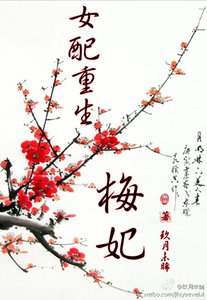 女配重生梅妃(空间)