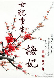 女配重生·梅妃(空间)