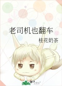 老司机也翻车